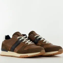 Bullboxer Trend Design...