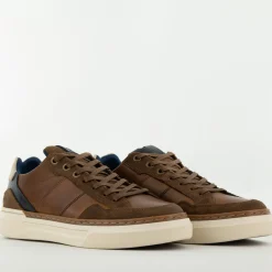 Bullboxer Trend Design...