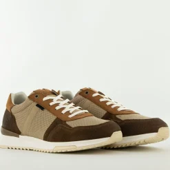 Bullboxer Trend Design...