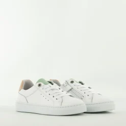 Bullboxer Trend Design...