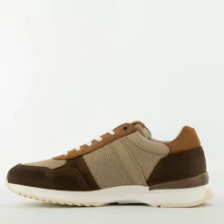 Bullboxer Trend Design...