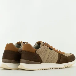 Bullboxer Trend Design...