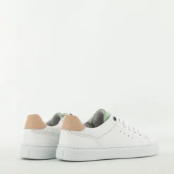 Bullboxer Trend Design...